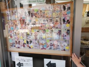 渋谷区 Dog Heart From アクアマリンの予約 口コミ 料金とは 東京の小学生とおでかけ Odekake Tokyo Play With Kids In Tokyo