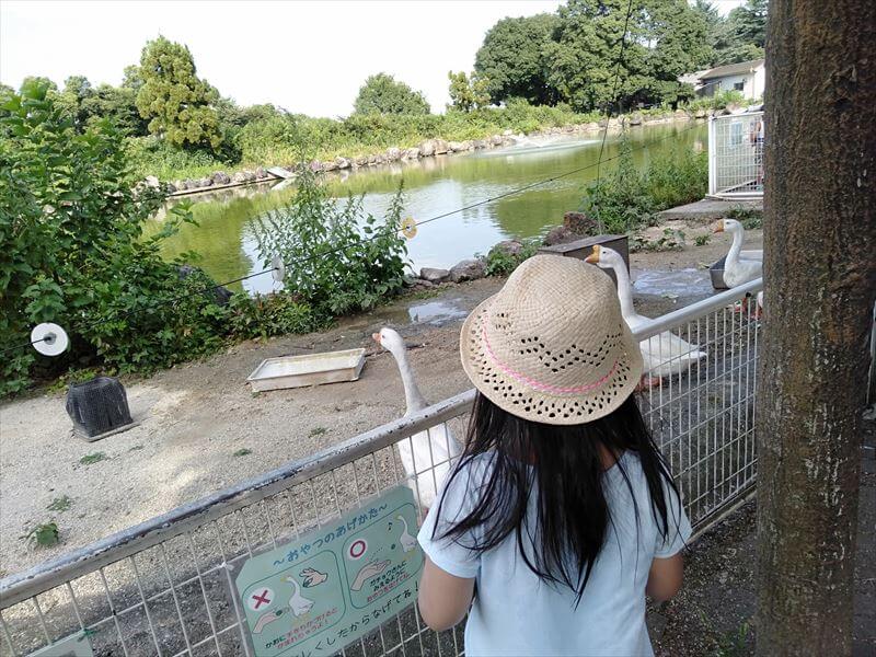 白岡市 東武動物公園スーパープールはいつから 混雑 予約について 東京の小学生とおでかけ Odekake Tokyo Play With Kids In Tokyo