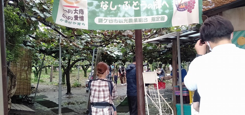 自然 Nature 東京の小学生とおでかけ Odekake Tokyo Play With Kids In Tokyo